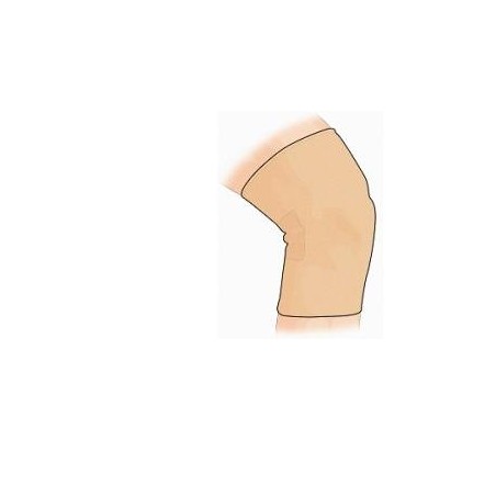 GINOCCHIERA SPORTIVA GIBAUD CAMEL MISURA 4