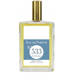 EAU DE PARFUM N533 100 ML