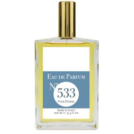 EAU DE PARFUM N533 100 ML