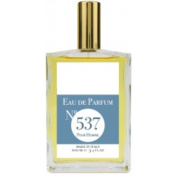 EAU DE PARFUM N537 100 ML