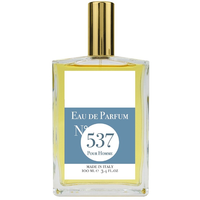 EAU DE PARFUM N537 100 ML