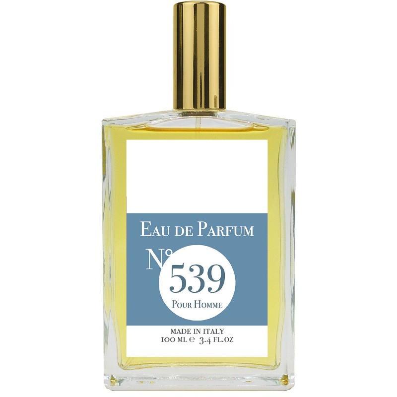 EAU DE PARFUM N539 100 ML