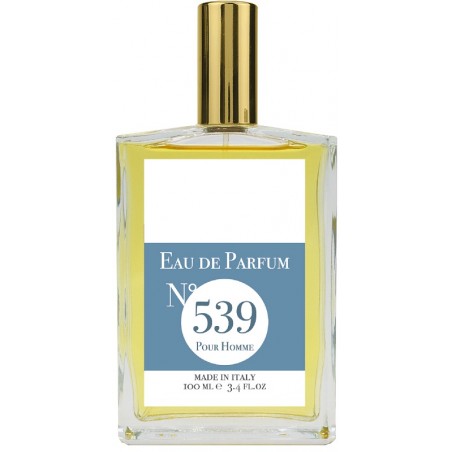 EAU DE PARFUM N539 100 ML