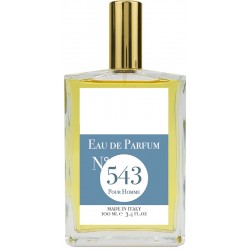 EAU DE PARFUM N543 100 ML