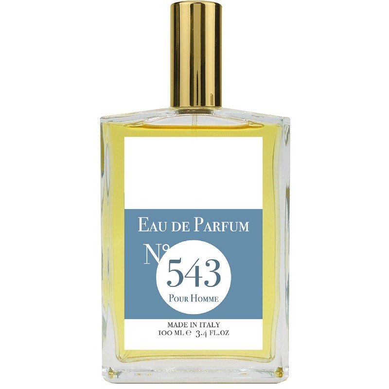EAU DE PARFUM N543 100 ML