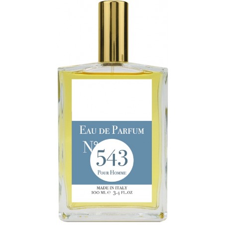EAU DE PARFUM N543 100 ML