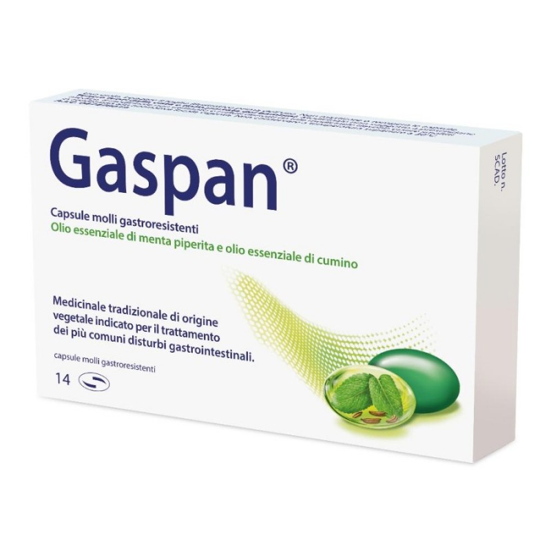 GASPAN - 14 cps molli gastrores 90 mg + 50 mg