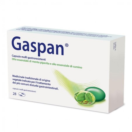 GASPAN - 28 cps molli gastrores 90 mg + 50 mg